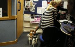 Jack - dogs at the station